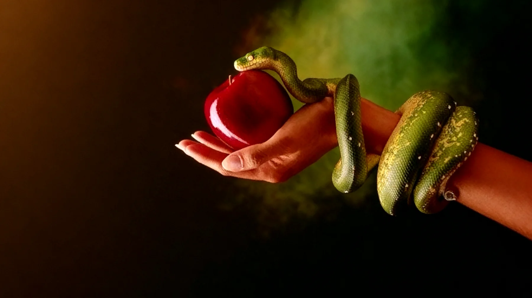 Forbidden Fruit2026-03-02T17:00:51.727Z"